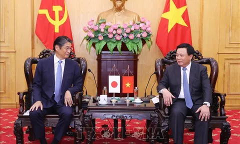 Tăng cường hợp tác Việt Nam - Nhật Bản trong công tác đào tạo, bồi dưỡng cán bộ