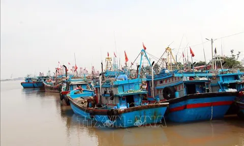 Quy hoạch hệ thống cảng cá, khu neo đậu tránh trú bão cho tàu cá đến 2030