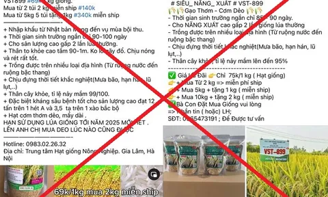 Khởi tố 7 đối tượng lừa bán thóc giống giả chiếm đoạt gần 8 tỷ đồng