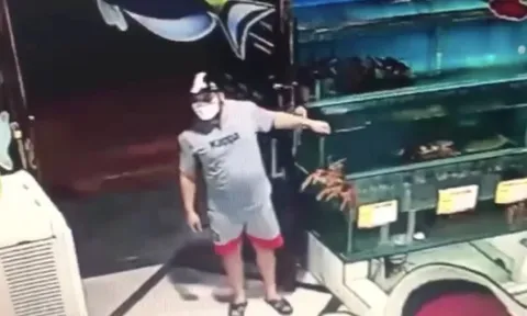 Bắt đối tượng trộm tôm hùm trị giá gần 10 triệu đồng ở Hà Nội