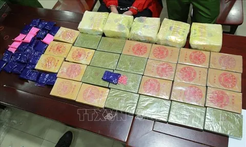Lập Hội đồng thẩm định Báo cáo đề xuất Chương trình mục tiêu quốc gia phòng, chống ma túy