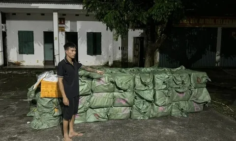 Bắt giữ hơn 3 tấn nầm lợn không rõ nguồn gốc ở Quảng Ninh