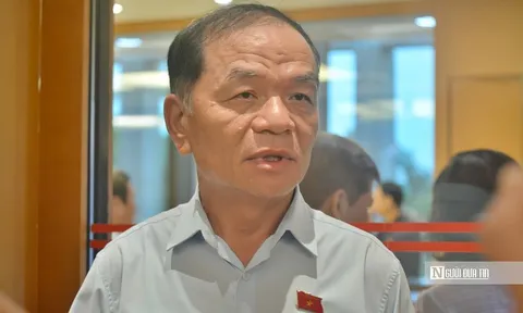 Đồng ý khởi tố, bắt tạm giam, tạm đình chỉ nhiệm vụ ĐBQH Lê Thanh Vân