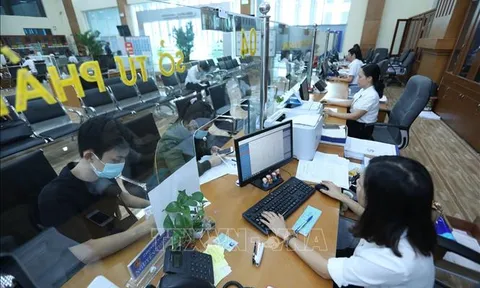 Cắt giảm 50% quy định về kinh doanh lĩnh vực lưu trữ