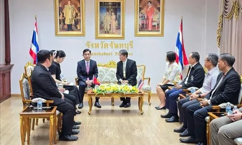 Việt Nam và Thái Lan mong muốn đẩy mạnh hợp tác địa phương