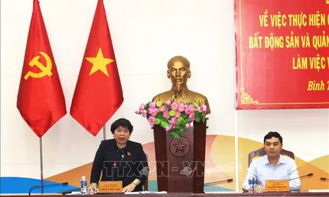 Giám sát thực hiện chính sách về quản lý thị trường bất động sản, nhà ở xã hội