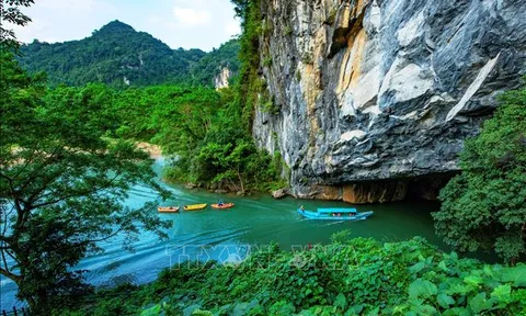 Quy định tiêu chí các phân khu chức năng của vườn quốc gia, khu dự trữ thiên nhiên