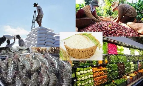 Sửa quy định chứng nhận cơ sở sản xuất, kinh doanh thực phẩm nông, lâm, thủy sản đủ điều kiện an toàn