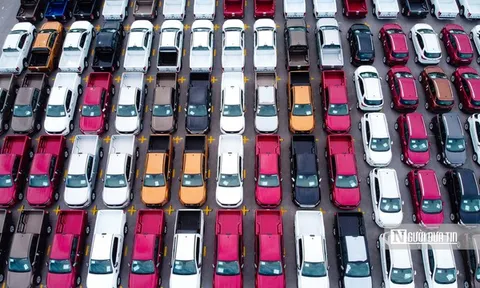 Hoàn thiện nghị định về lệ phí trước bạ ô tô trong tháng 7