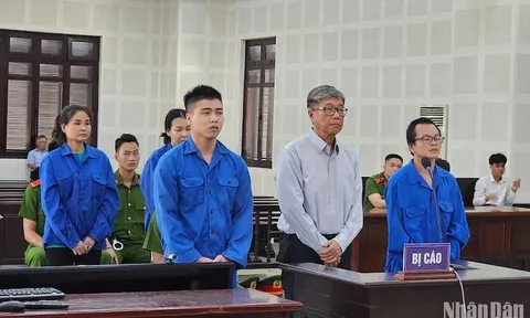 Tử hình nữ thủ quỹ trường Đại học Bách khoa Đà Nẵng tham ô hơn 186 tỷ đồng