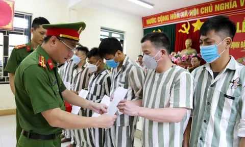 Hướng dẫn triển khai đặc xá năm 2024