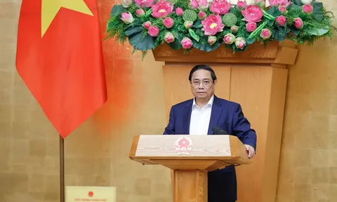 Thủ tướng chủ trì phiên họp Chính phủ thường kỳ tháng 7/2024