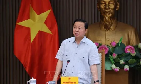 Rà soát chính sách khuyến khích, hỗ trợ chuyển đổi sang phương tiện giao thông xanh