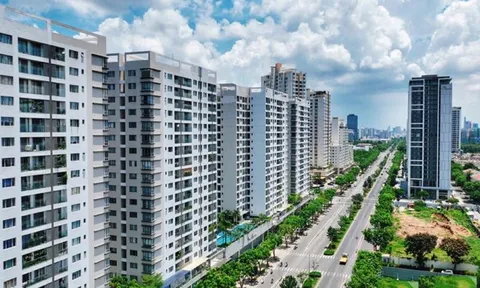 Quy chế quản lý, sử dụng nhà chung cư từ 1/8/2024