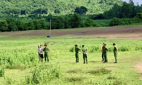 Bắt giữ tài xế xe đông lạnh chặn đường, hiếp dâm cô gái tại đồi cừu