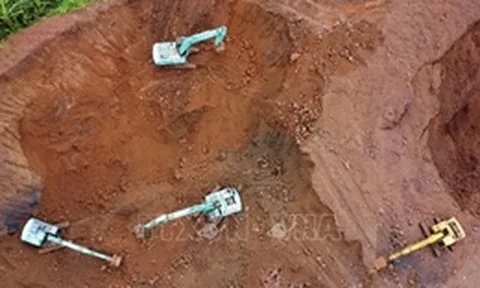 Quy định về kỹ thuật điều tra, đánh giá cải tạo, phục hồi đất