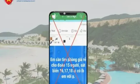 Cảnh báo thủ đoạn giả nhân viên khách sạn, dụ dỗ nạn nhân đặt phòng để chiếm đoạt tiền