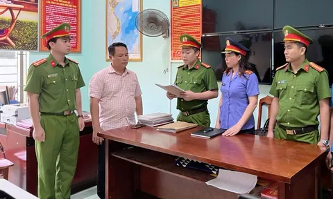 Khởi tố một giám đốc doanh nghiệp về hành vi trốn thuế