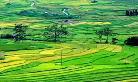 Quy định về trình tự, thủ tục trưng dụng đất