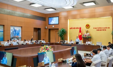 Chất vấn các thành viên Chính phủ, Trưởng ngành 2 nhóm lĩnh vực