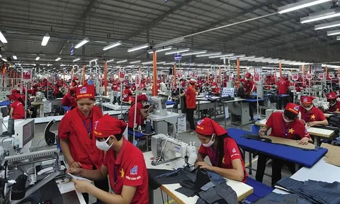 Hoàn thiện hệ thống pháp lý về xác định hàng hóa sản xuất tại Việt Nam