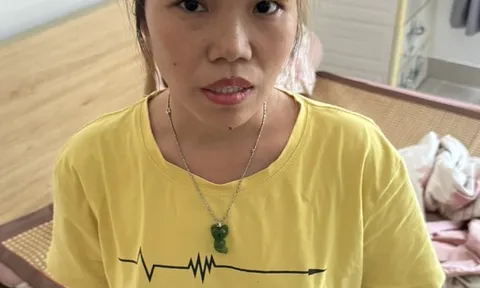 Bắt tạm giam 'nữ quái' giả danh cán bộ Cục Hải quan để lừa bán ô tô giá rẻ