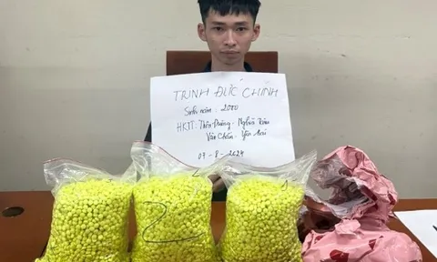 Hà Nội: Triệt phá đường dây vận chuyển, mua bán trái phép 15.000 viên ma tuý tổng hợp