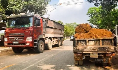 Quy định về thời hạn của giấy phép lái xe hạng C