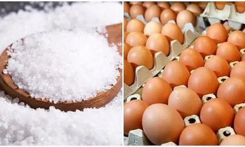 Đề xuất quy định hạn ngạch thuế quan nhập khẩu muối, trứng gia cầm năm 2025