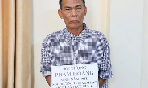 Bắt đối tượng hoạt động trong tổ chức 'Chính phủ quốc gia Việt Nam lâm thời'