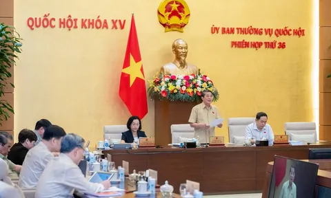 Sửa Luật Tiêu chuẩn và Quy chuẩn kỹ thuật, rà soát, xử lý triệt để bất cập hiện nay