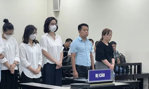 Cựu Chủ tịch Vimedimex lĩnh án 36 tháng tù