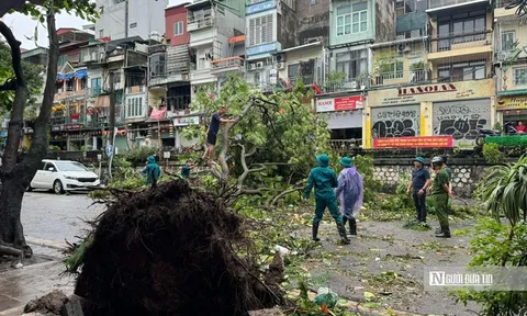 Hà Nội triển khai các biện pháp khắc phục, giải tỏa cây xanh gãy, đổ sau cơn bão số 3