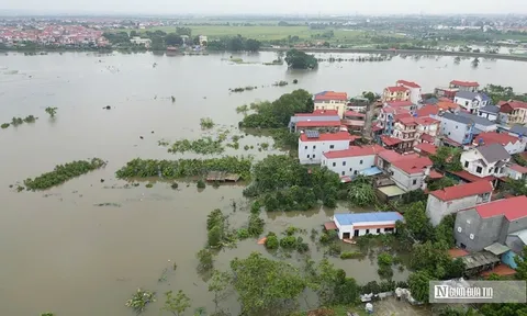 Thủ tướng chỉ đạo tập trung ứng phó lũ lớn, đảm bảo an toàn đê điều trên các sông ở Bắc Bộ