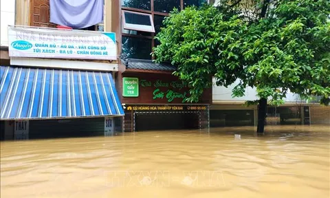 Thụy Sĩ cam kết hỗ trợ Việt Nam khắc phục hậu quả thiên tai