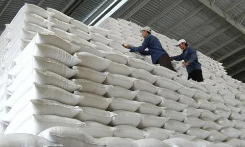 Bộ Tài chính trình hỗ trợ khẩn cấp cho Yên Bái và Lào Cai khắc phục thiệt hại do bão Yagi