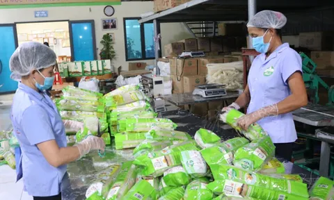 Hợp tác xã, liên hiệp hợp tác xã được thành lập doanh nghiệp khi đáp ứng các điều kiện gì