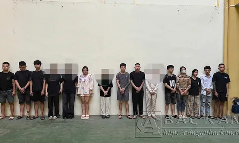 Phá đường dây chiếm đoạt tài sản trên không gian mạng dưới hình thức lừa đầu tư