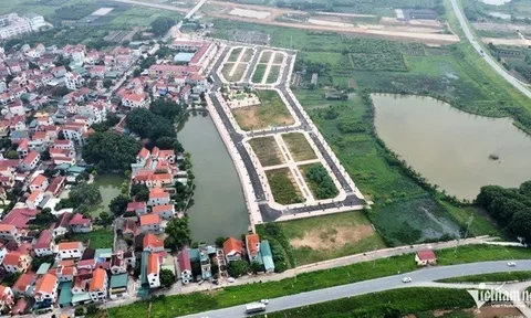 Huyện Đan Phượng (Hà Nội) bất ngờ ngừng đấu giá 26 lô đất