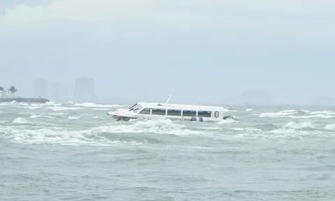 Vụ lật tàu du lịch 17 người chết: Tuyên án thuyền trưởng lĩnh 7 năm tù