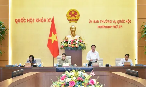 Luật Thuế thu nhập doanh nghiệp (sửa đổi): Thuế suất ưu đãi để đội ngũ doanh nghiệp nhỏ và vừa phát triển