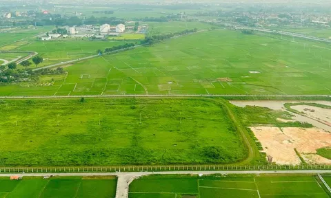 Bộ Tài chính đề xuất 2 phương án giảm tiền thuê đất năm 2024