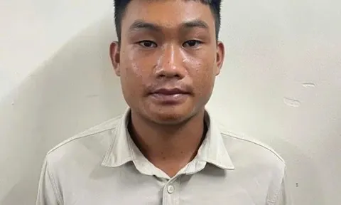 Đề nghị truy tố tài xế dùng bằng lái giả, gây tai nạn liên hoàn ở Đồng Nai