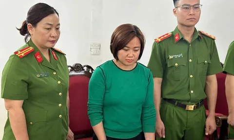 Khởi tố nữ giám đốc làm giả con dấu, tài liệu của cơ quan, tổ chức