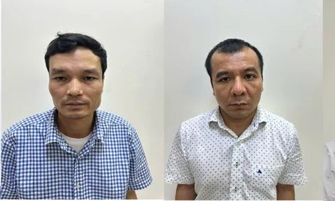 Khởi tố, bắt tạm giam Phó Tổng Giám đốc Công ty Cổ phần xi măng Hạ Long