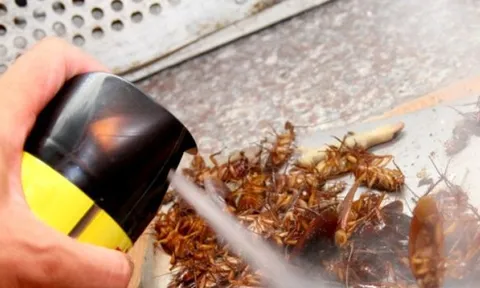 Quy định mới về xác nhận nội dung quảng cáo sản phẩm, hàng hóa, dịch vụ đặc biệt Bộ Y tế quản lý
