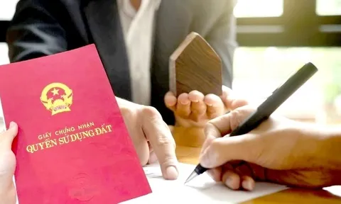 Mức xử phạt đối với hành vi sử dụng giấy tờ giả liên quan đến đất đai