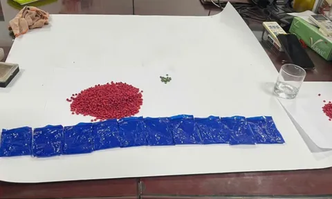 Đột kích ổ nhóm ma túy cộm cán, thu giữ hàng nghìn viên ma túy