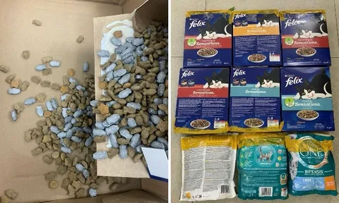 Triệt phá đường dây vận chuyển ma túy, giấu trong thức ăn chó, mèo từ nước ngoài về Việt Nam