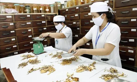 Đa dạng hóa các loại hình dịch vụ, sản phẩm y học cổ truyền